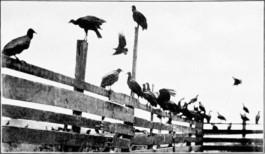 14748621301_7d48b088c6_o